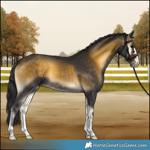 Horse Color:Buckskin Onyx 