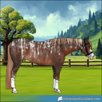 Horse Color:Powder White Liver Chestnut Rabicano 