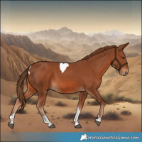 Horse Color:Chestnut Tobiano 