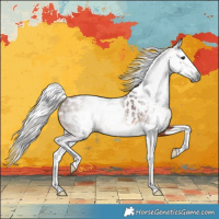 Horse Color:Gray Silver Bay Splash Blanket 