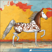 Horse Color:Gray Silver Bay Splash Appaloosa 
