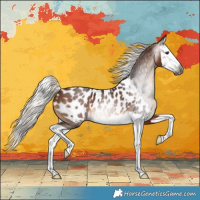 Horse Color:Gray Silver Bay Splash Appaloosa 