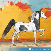 Horse Color:Black Splash Tobiano Varnish 