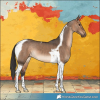 Horse Color:Bay Dun Tobiano 