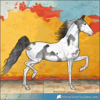 Horse Color:Black Splash Tobiano 