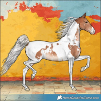 Horse Color:White Spotted Silver Brown Tobiano 