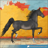 Horse Color:Black 