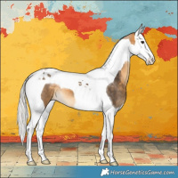 Horse Color:Silver Buckskin Splash Tobiano 