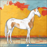 Horse Color:Silver Buckskin Splash Tobiano 