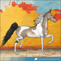 Horse Color:Brown Dun Tobiano Appaloosa 