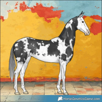 Horse Color:White Spotted Black Splash
