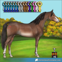 Horse Color:Liver Chestnut Sabino 