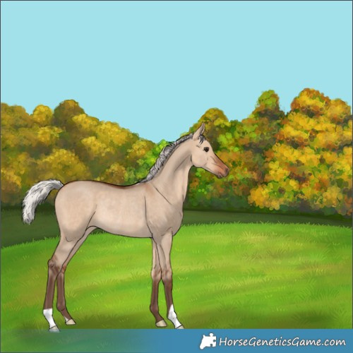 Horse Color:Silver Bay Dun Rabicano 