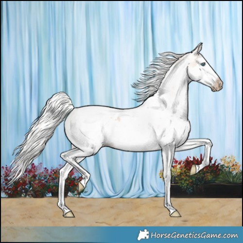 Horse Color:Gray Silver Smoky Creme Splash Tobiano Appaloosa 