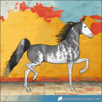 Horse Color:Black Sabino Splash Rabicano 