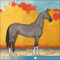 Horse Color:Smoky Grullo