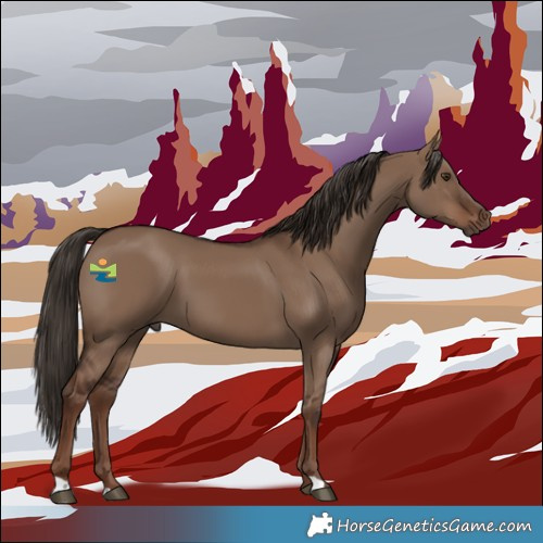 Horse Color:Liver Red Dun 
