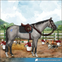 Horse Color:Grullo Roan 
