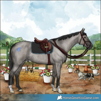 Horse Color:Grullo Roan 