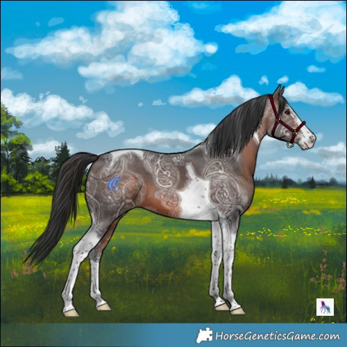 Horse Color:White Spotted Brown Ice Tobiano 