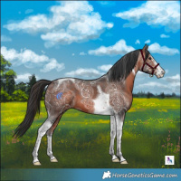 Horse Color:White Spotted Brown Ice Tobiano 