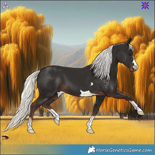 Horse Color:Liver Chestnut Mushroom 