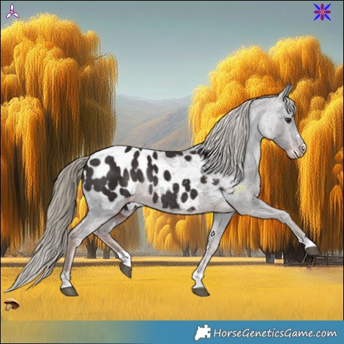 Horse Color:Liver Chestnut Blanket Rabicano 