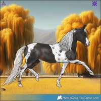 Horse Color:Liver Chestnut Mushroom Tobiano 
