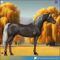 Horse Color:Void Liver Chestnut Mushroom Rabicano