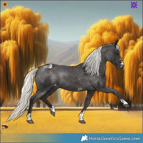 Horse Color:Liver Chestnut Mushroom Appaloosa Rabicano