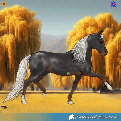 Horse Color:Liver Chestnut Mushroom