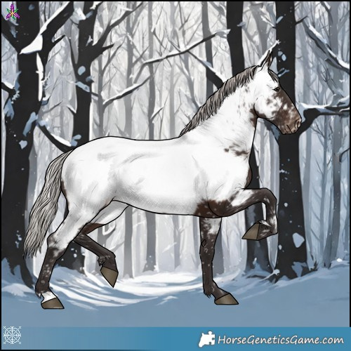 Horse Color:Silver Brown Near Fewspot