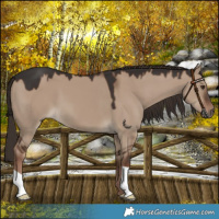Horse Color:Liver Red Dun