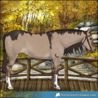 Horse Color:Liver Red Dun 