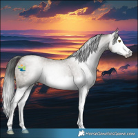 Horse Color:Gray Classic Cream Champagne Roan Splash 