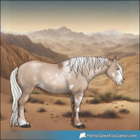 Horse Color:White Spotted Silver Grullo Pearl Mushroom Sabino