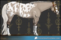 Horse Color:Liver Red Dun Mushroom Blanket 