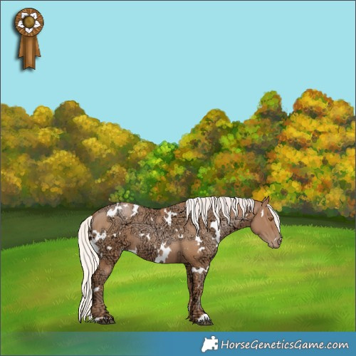 Horse Color:White Spotted Silver Black Ice Pearl 