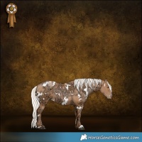 Horse Color:White Spotted Silver Black Ice Pearl 