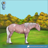 Horse Color:Watercolor White Spotted Silver Brown Pearl