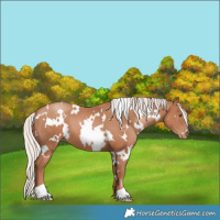 Horse Color:White Spotted Silver Black Pearl 