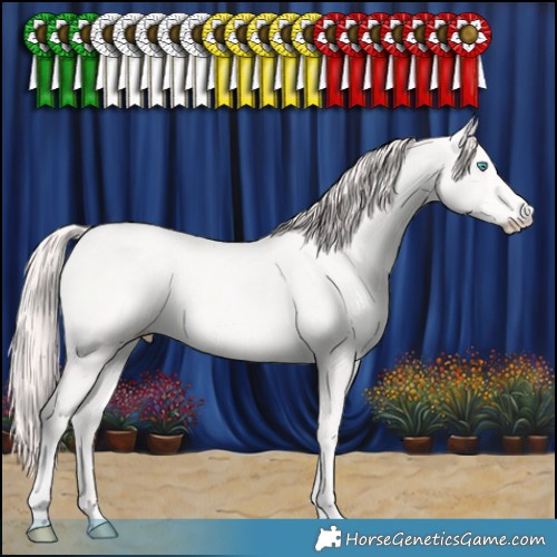 Horse Color:Perlino 