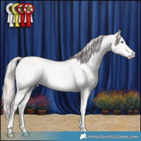 Horse Color:Perlino 
