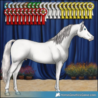 Horse Color:Perlino