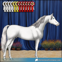 Horse Color:Perlino 