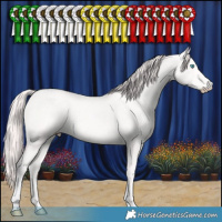 Horse Color:Perlino