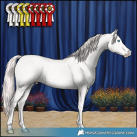 Horse Color:Perlino