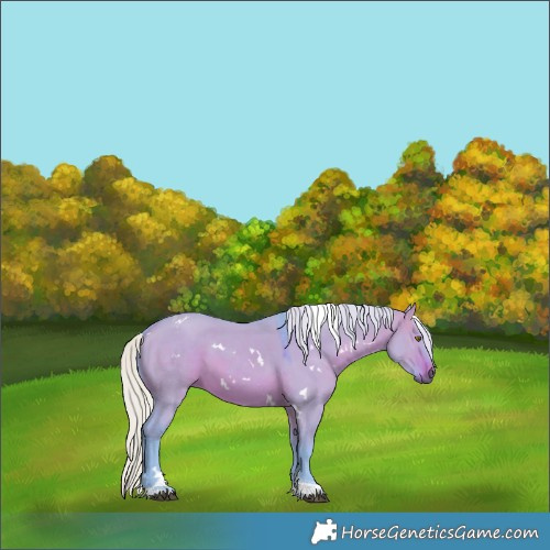 Horse Color:Watercolor White Spotted Silver Brown Dun Tobiano 