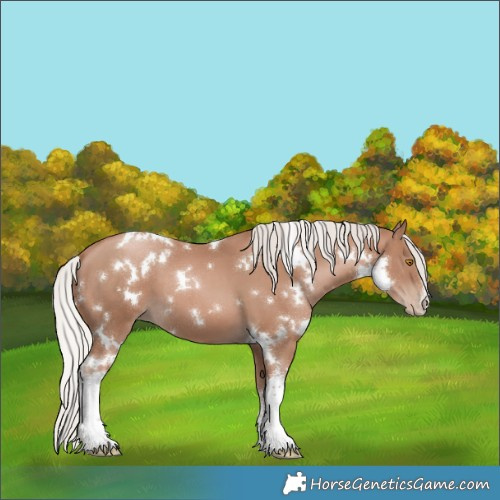 Horse Color:White Spotted Silver Black Pearl Mushroom