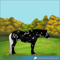 Horse Color:Watercolor White Spotted Silver Black Ice Sabino 